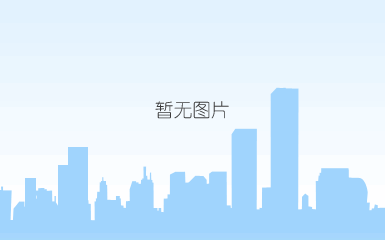 某某期刊系列